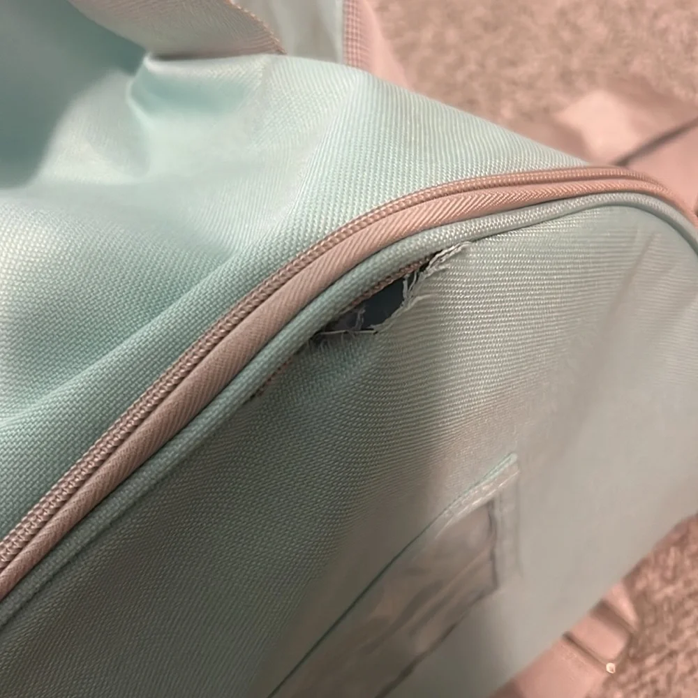 small pet animal carrier, small hole, blue